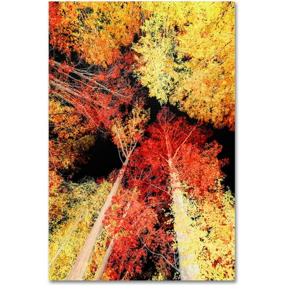 Trademark Fine Art "Warming Up" Canvas Art by Philippe Sainte-Laudy