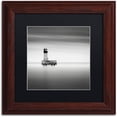 thumbnail image 1 of Trademark Fine Art "Warning Sign" Canvas Art by Dave MacVicar, Black Matte, Wood Frame, 1 of 4