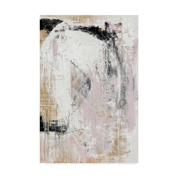 Trademark Fine Art 'Washed Secrets' Canvas Art by Erin Ashley