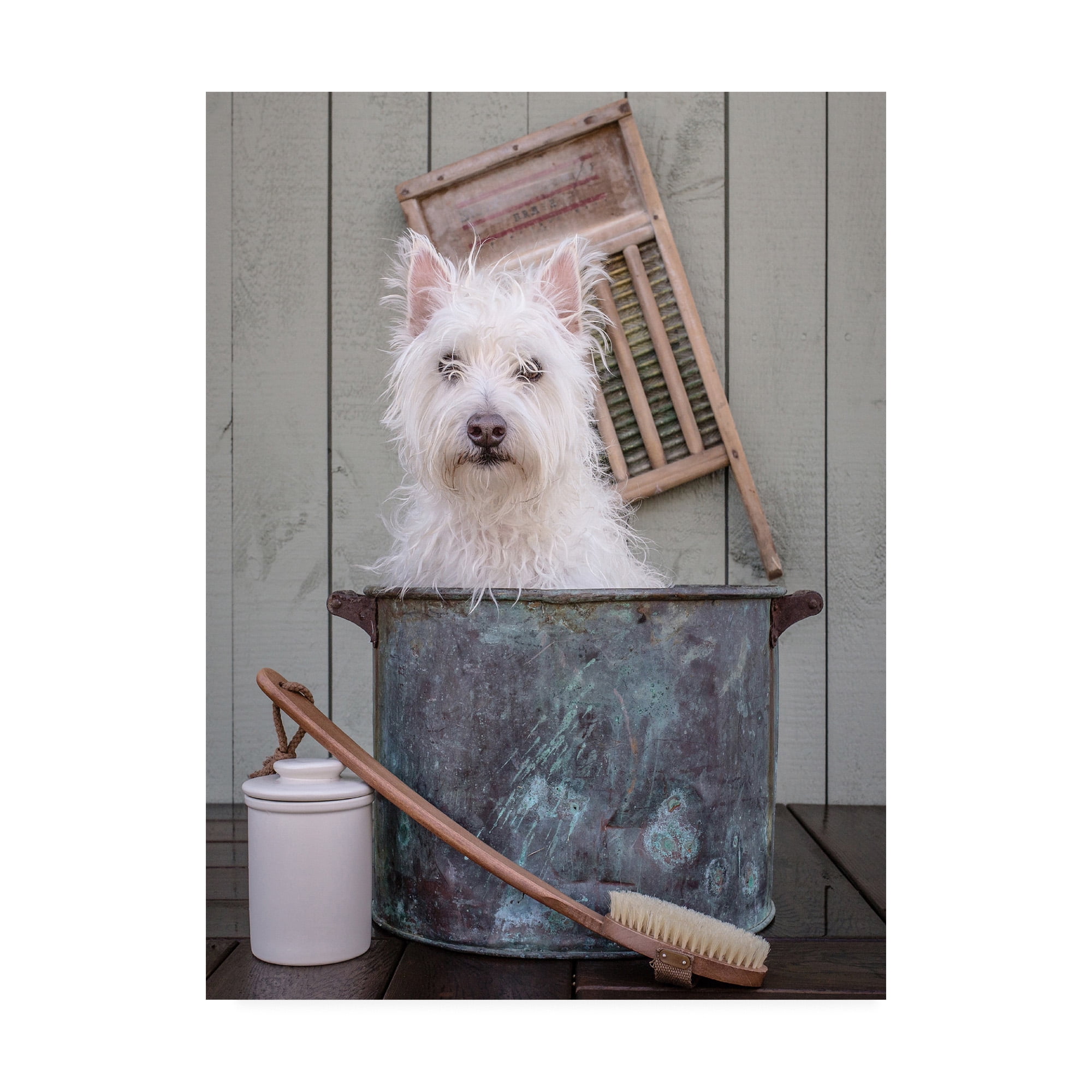 Trademark Fine Art 'Washing the Dog' Canvas Art by Edward M. Fieldin