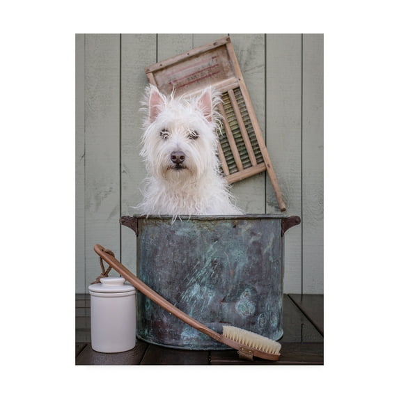 Trademark Fine Art 'Washing the Dog' Canvas Art by Edward M. Fieldin