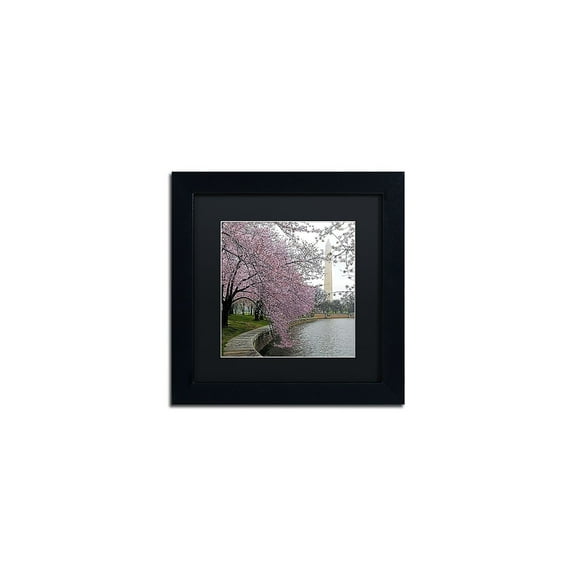 Trademark Fine Art "Washington Blossoms" Canvas Art by CATeyes, Black Matte, Black Frame