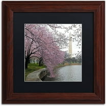 Trademark Fine Art "Washington Blossoms" Canvas Art by CATeyes, Black Matte, Wood Frame