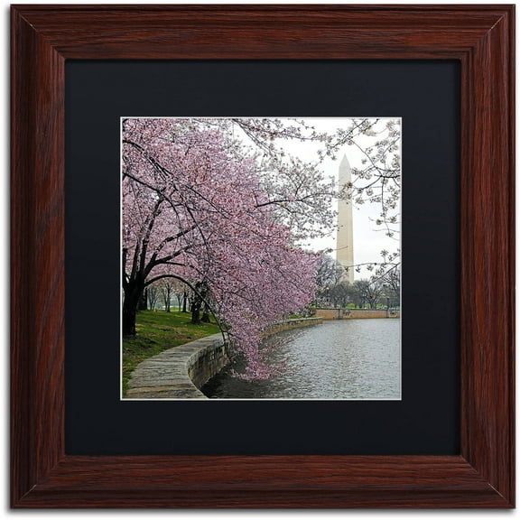 Trademark Fine Art "Washington Blossoms" Canvas Art by CATeyes, Black Matte, Wood Frame