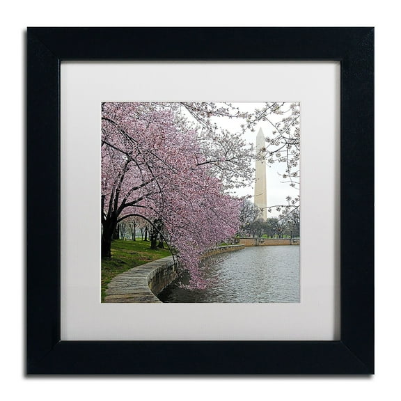 Trademark Fine Art "Washington Blossoms" Canvas Art by CATeyes, White Matte, Black Frame