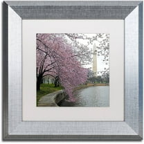 Trademark Fine Art "Washington Blossoms" Canvas Art by CATeyes, White Matte, Silver Frame
