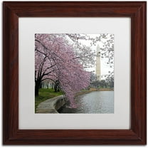 Trademark Fine Art "Washington Blossoms" Canvas Art by CATeyes, White Matte, Wood Frame