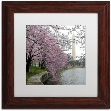 Trademark Fine Art "Washington Blossoms" Canvas Art by CATeyes, White Matte, Wood Frame