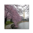 thumbnail image 1 of Trademark Fine Art "Washington Blossoms" Canvas Art by CATeyes, 1 of 2