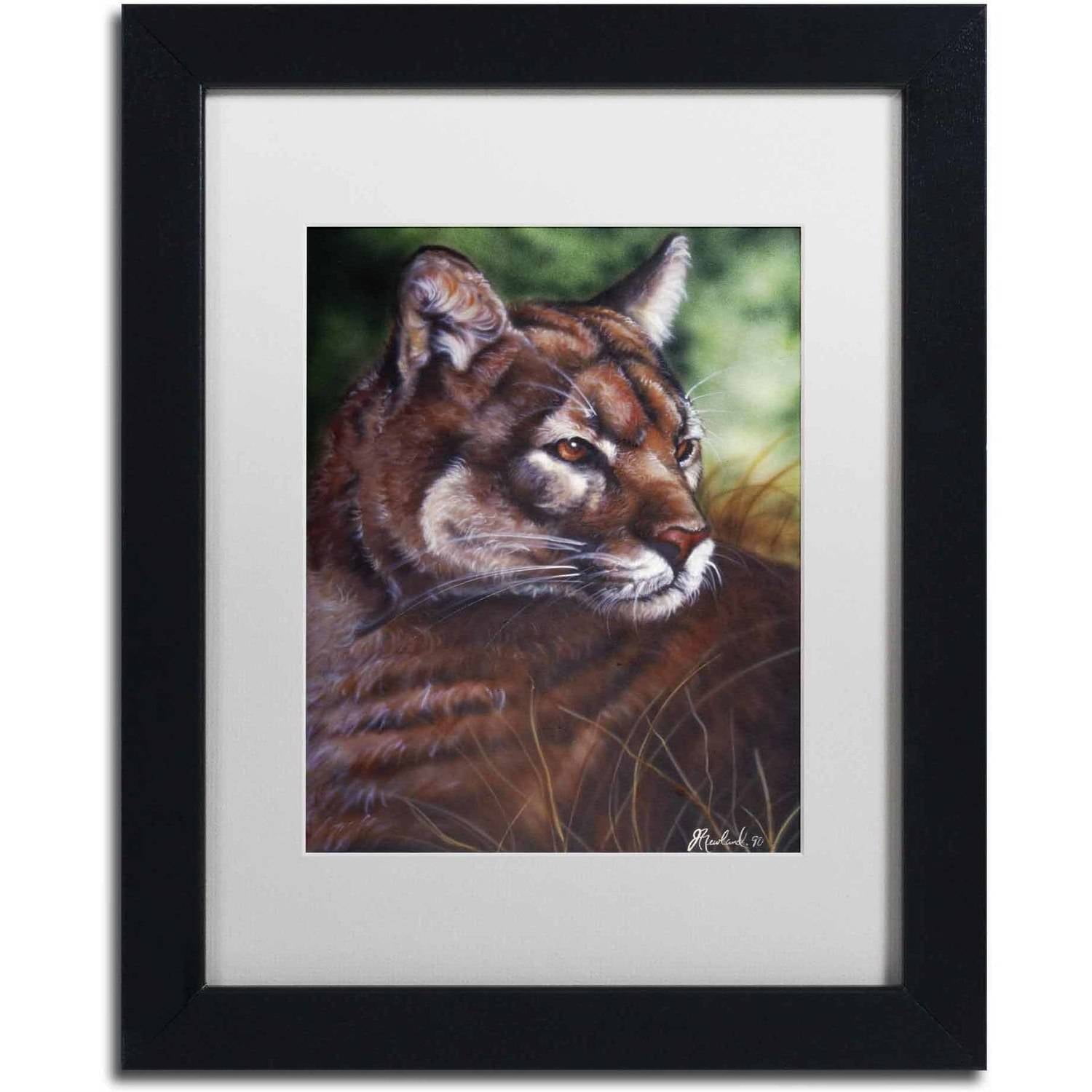 Trademark Fine Art 'Watchful Eyes II' Canvas Art by Jenny Newland, White Matte, Black Frame