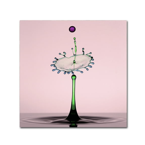 Trademark Fine Art 'Water Art' Canvas Art by Edy Pamungkas