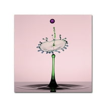 Trademark Fine Art 'Water Art' Canvas Art by Edy Pamungkas