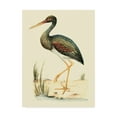 thumbnail image 1 of Trademark Fine Art 'Water Birds II' Canvas Art by H. L. Meyer, 1 of 4