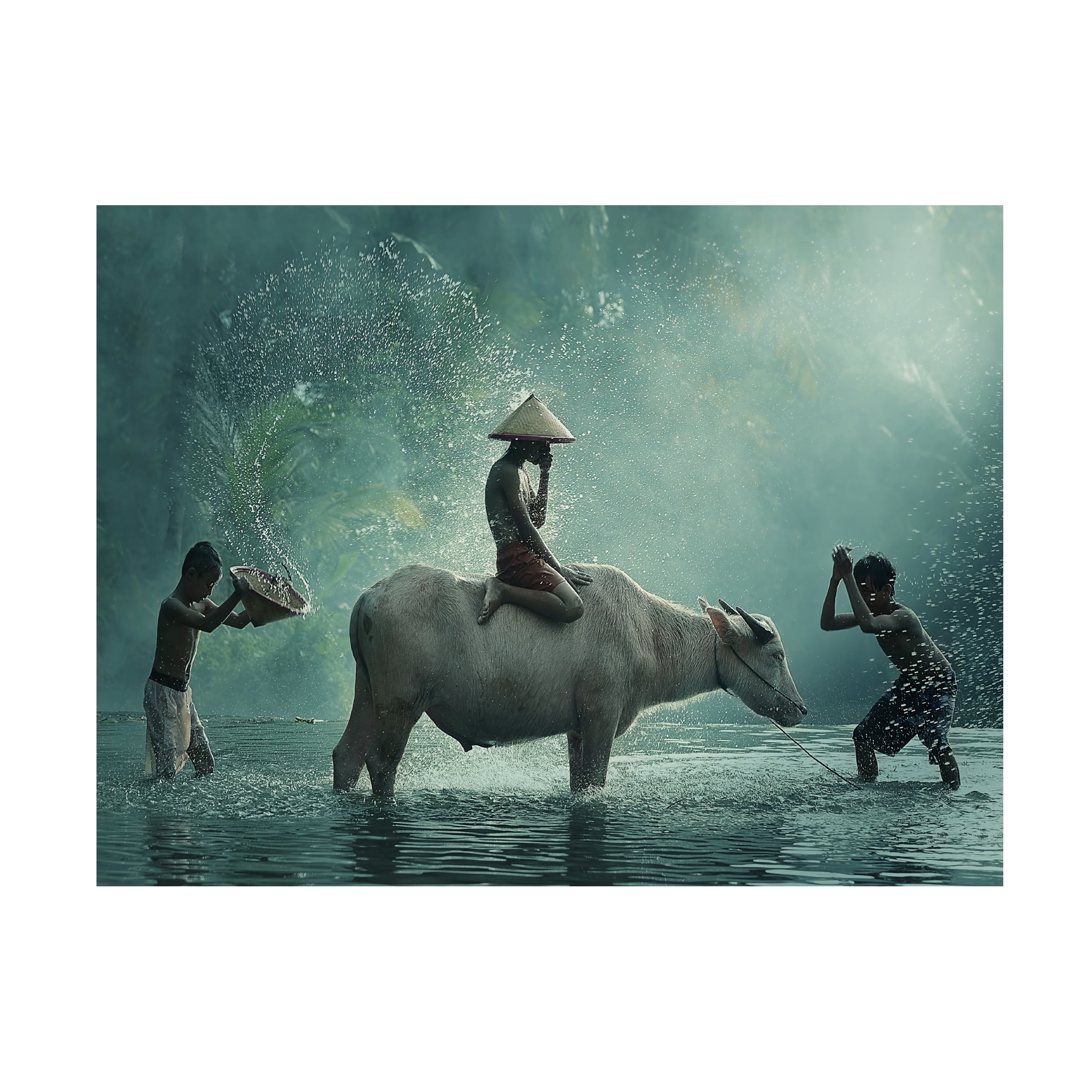 Trademark Fine Art Vichaya Water Buffalo Canvas Wall Art - 35x47