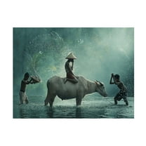 Trademark Fine Art Vichaya Water Buffalo Canvas Wall Art - 14x19