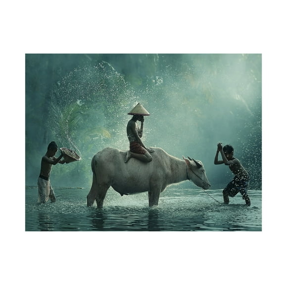 Trademark Fine Art Vichaya Water Buffalo Canvas Wall Art - 14x19