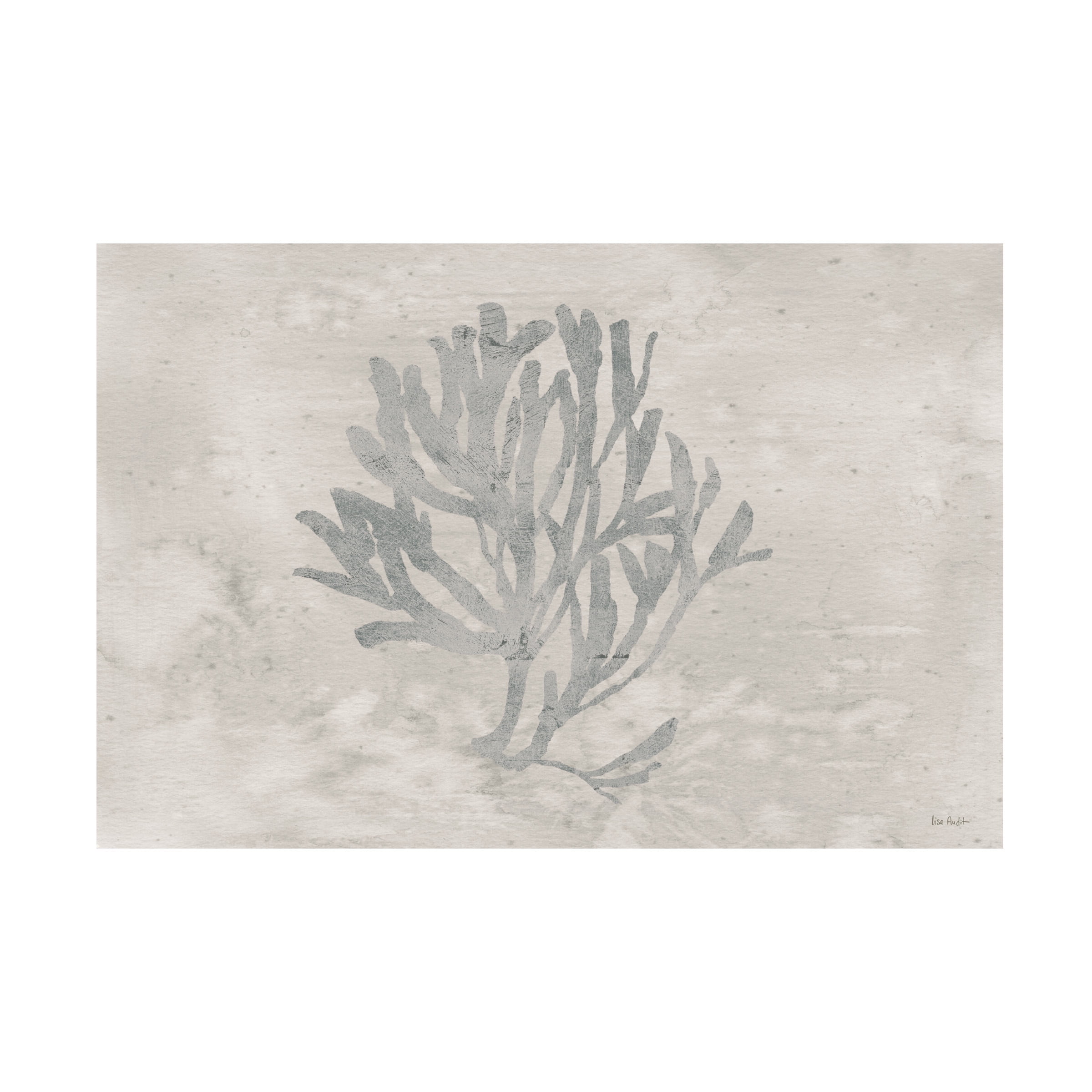 Trademark Fine Art 'Water Coral III' Canvas Art by Lisa Audit