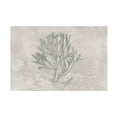 thumbnail image 1 of Trademark Fine Art 'Water Coral III' Canvas Art by Lisa Audit, 1 of 4