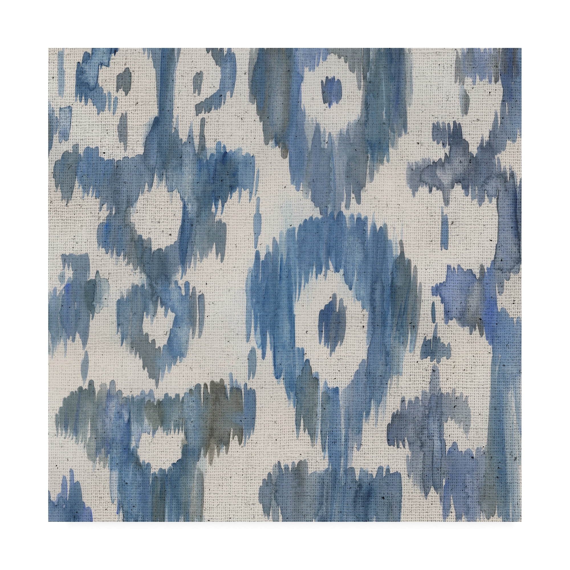 Trademark Fine Art 'Water Ikat II' Canvas Art by Chariklia Zarris