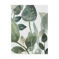 thumbnail image 1 of Trademark Fine Art 'Water Leaves I' Canvas Art by June Erica Vess, 1 of 4