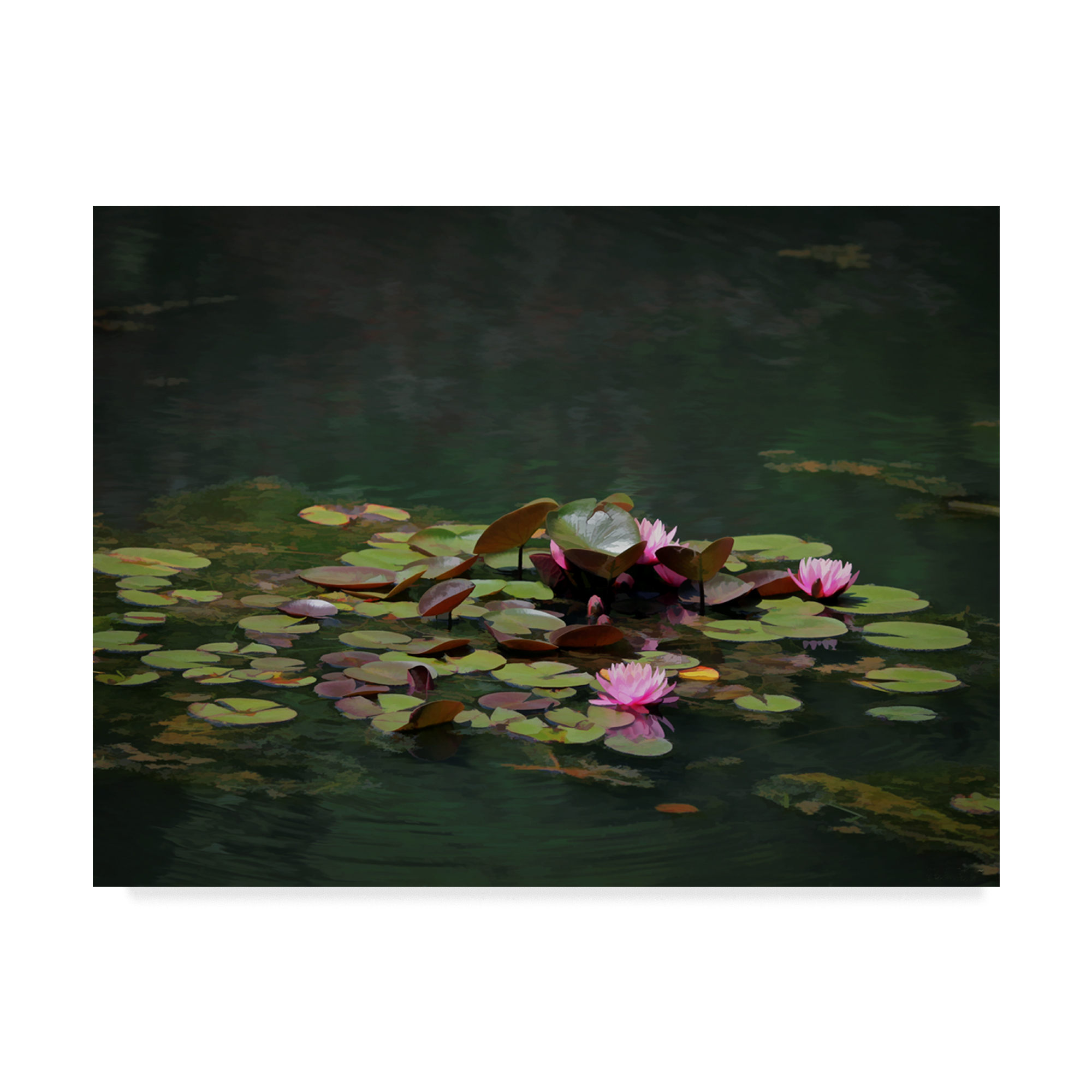Trademark Fine Art 'Water Lillies' Canvas Art by J.D. McFarlan