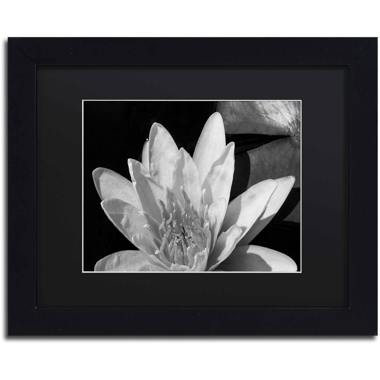 Trademark Fine Art "Water Lily in Black and White" Canvas Art by Kurt Shaffer, Black Matte, Black Frame