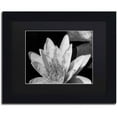 thumbnail image 1 of Trademark Fine Art "Water Lily in Black and White" Canvas Art by Kurt Shaffer, Black Matte, Black Frame, 1 of 4
