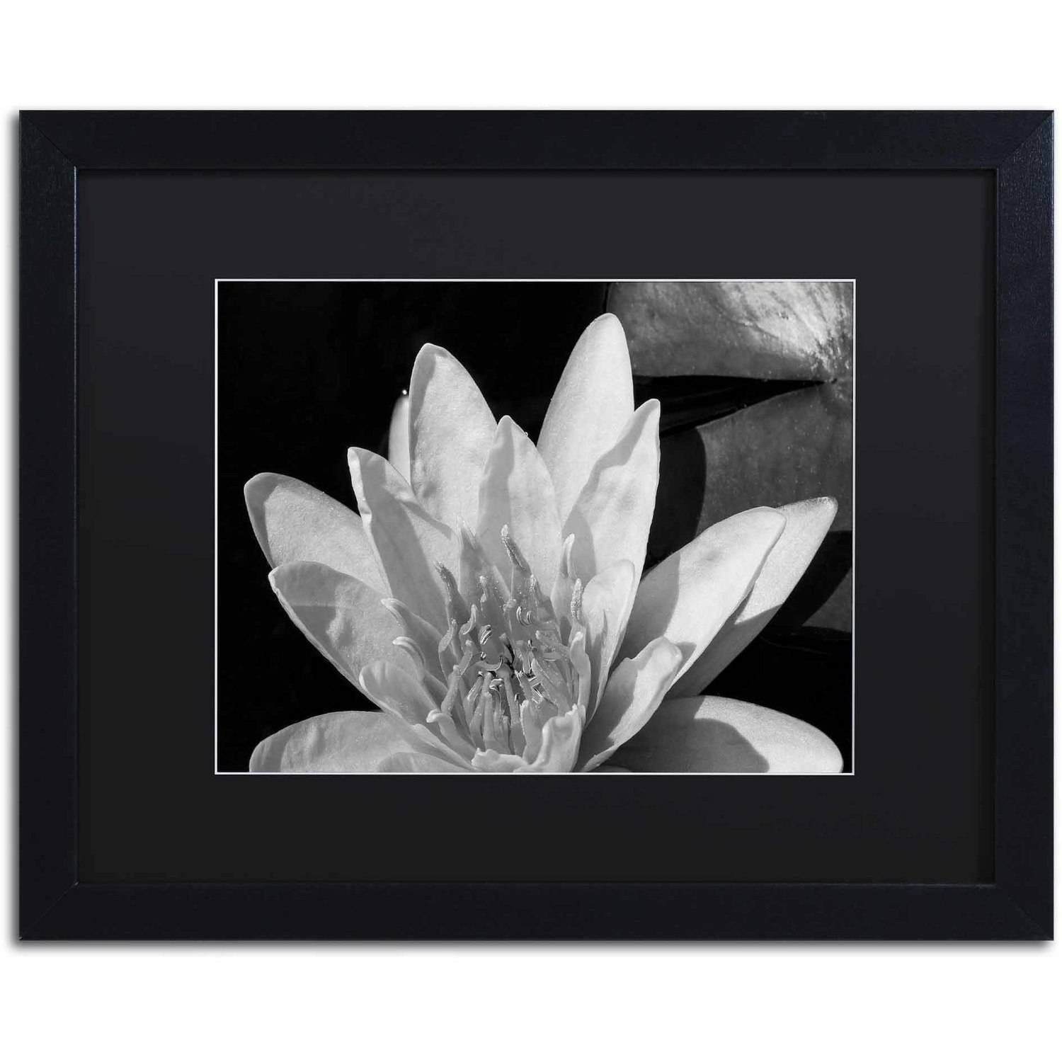 Trademark Fine Art "Water Lily in Black and White" Canvas Art by Kurt Shaffer, Black Matte, Black Frame