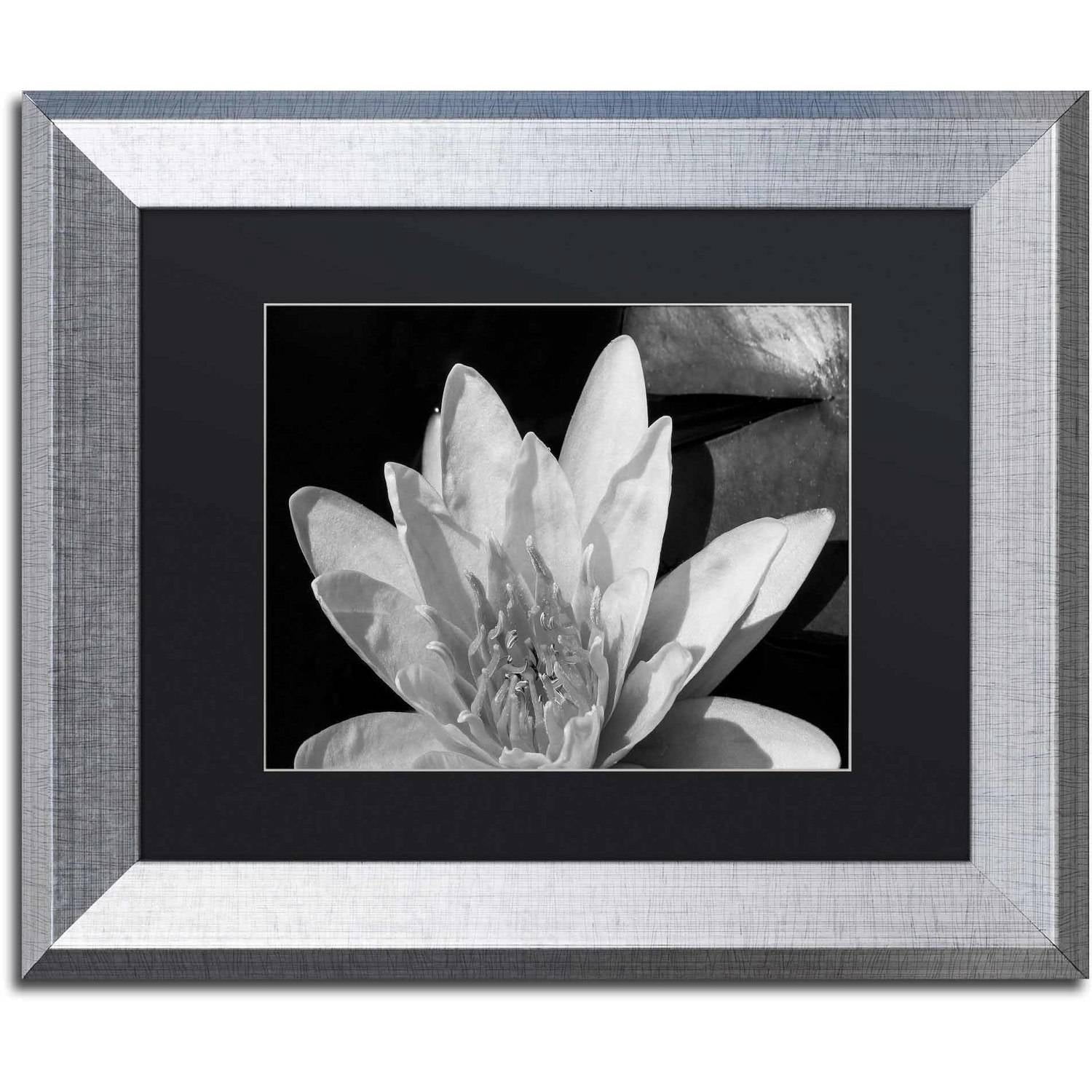 Trademark Fine Art "Water Lily in Black and White" Canvas Art by Kurt Shaffer, Black Matte, Silver Frame
