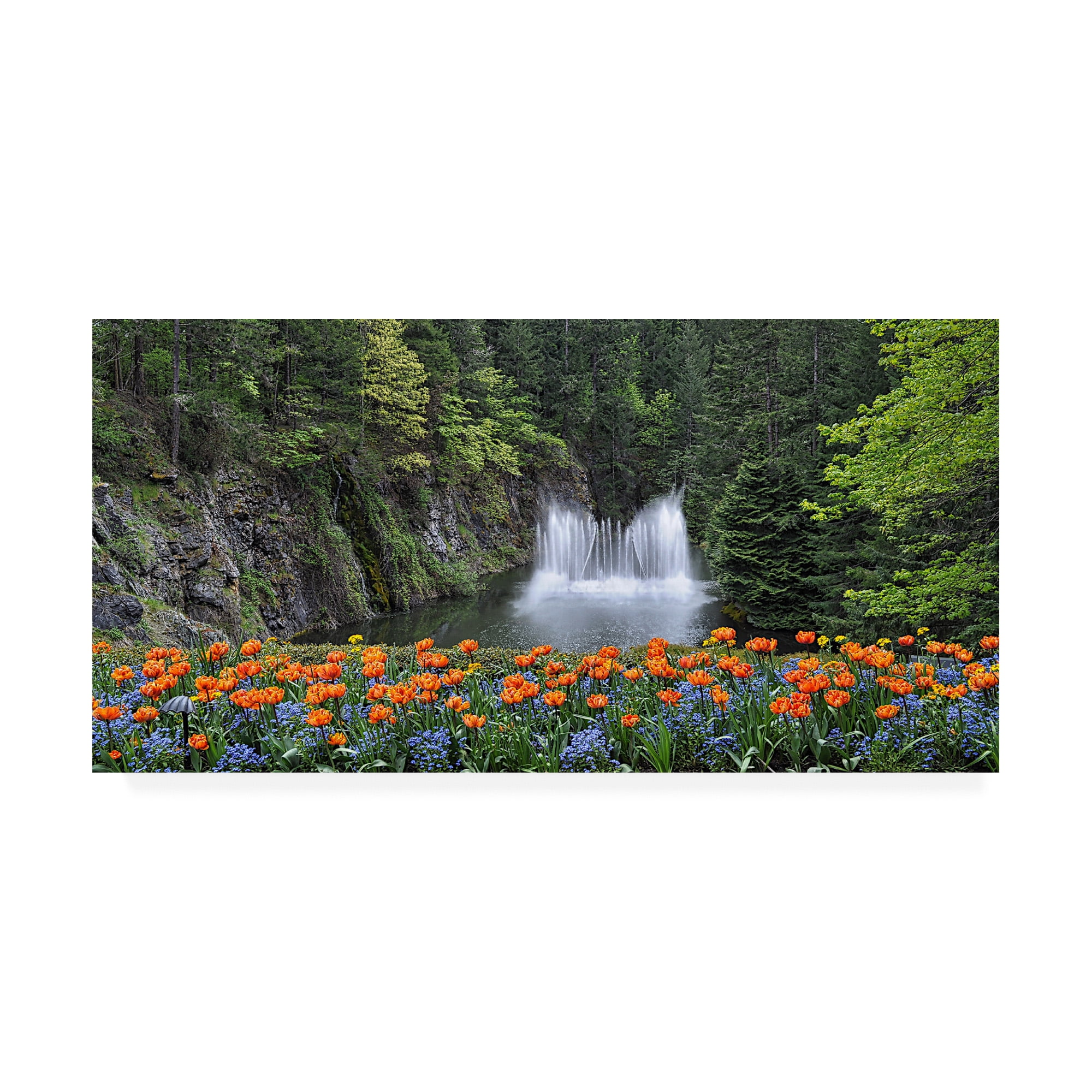 Trademark Fine Art 'Water Music Flowers' Canvas Art by Chuck Burdic