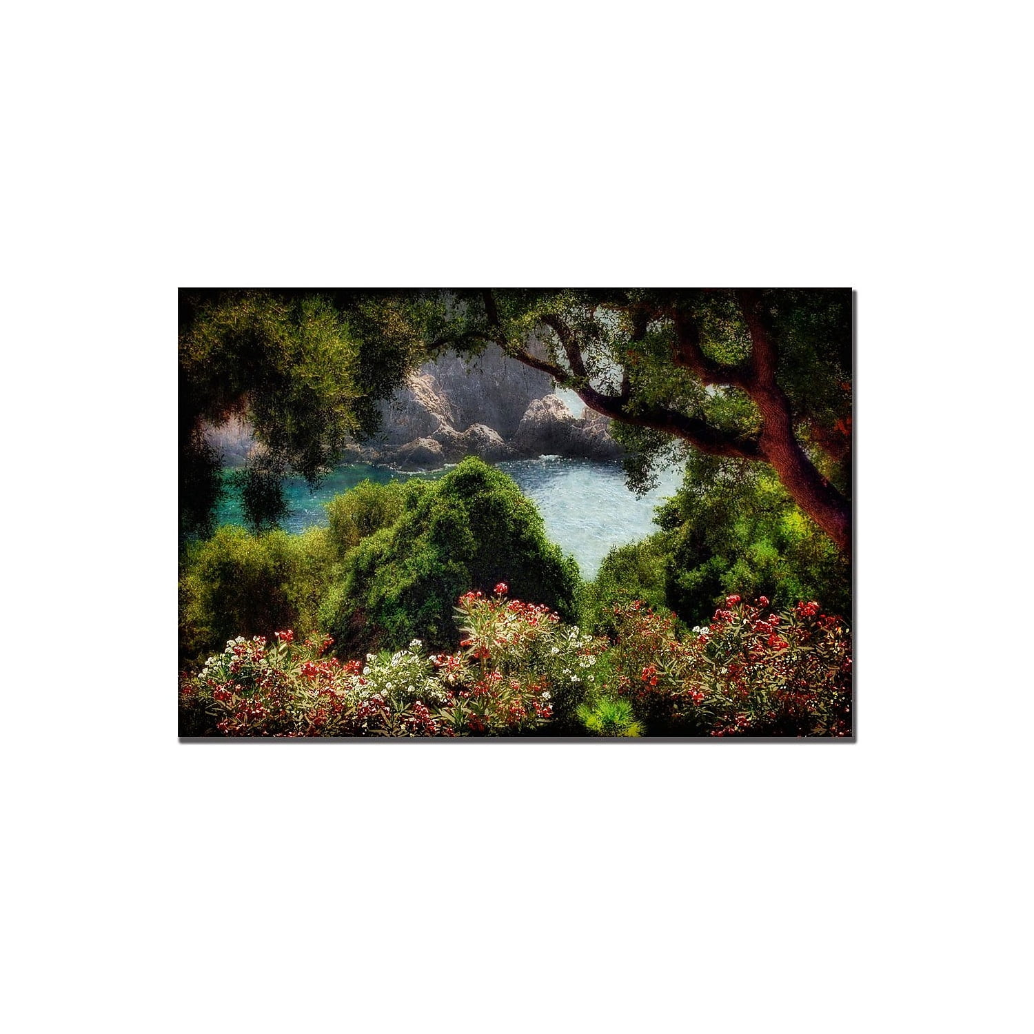 Trademark Fine Art "Water Plain" Canvas Art by Lois Bryan