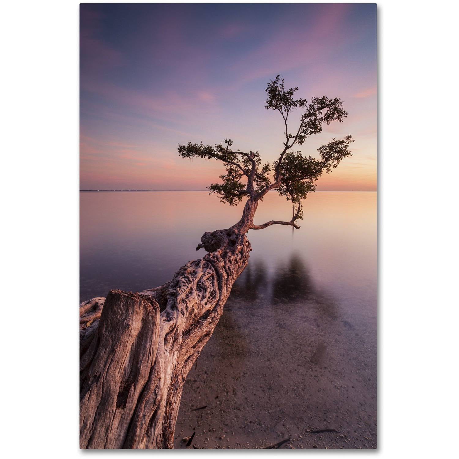Moises Levy Water Tree IV Black and White Canvas Print