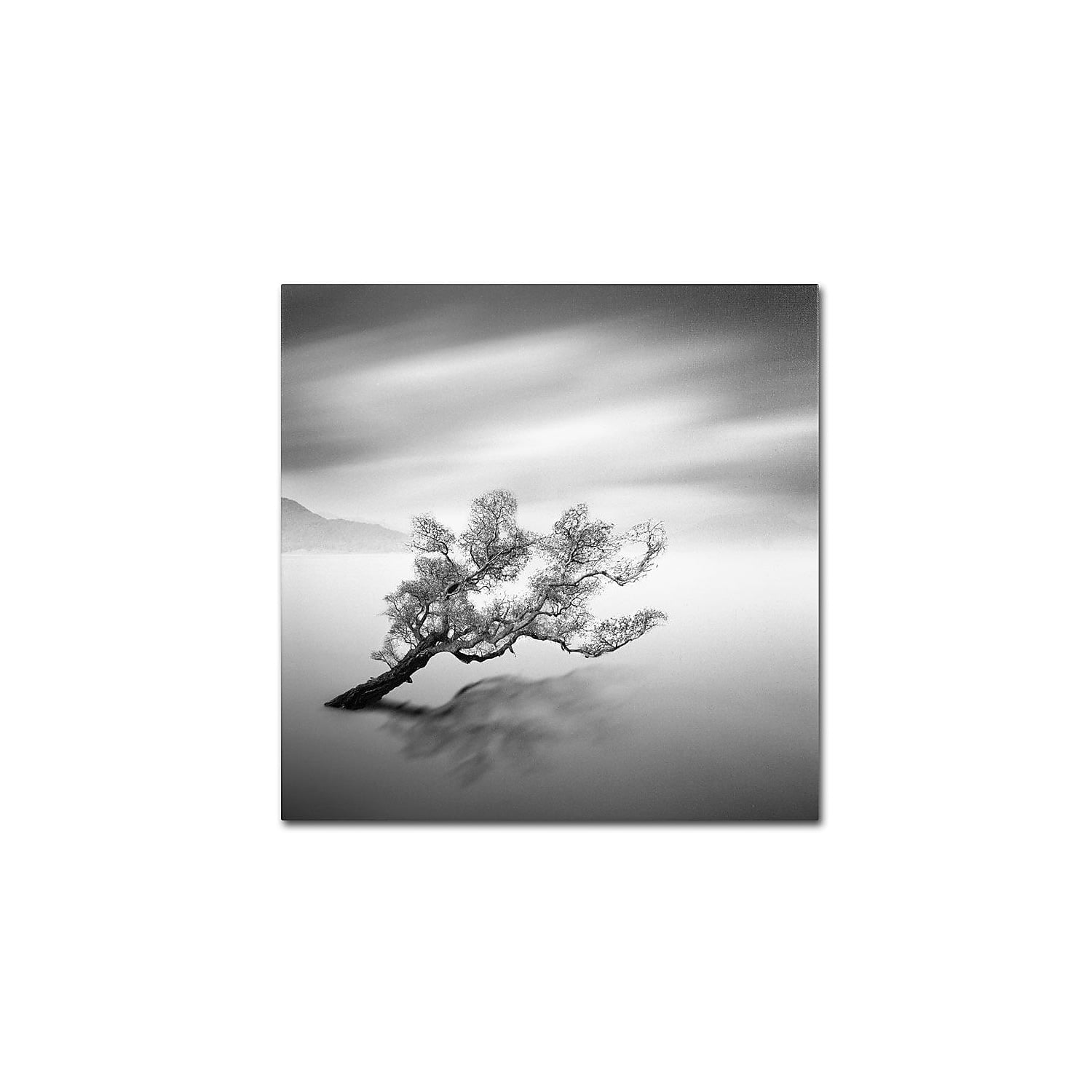 Trademark Fine Art "Water Tree VI" Canvas Art by Moises Levy