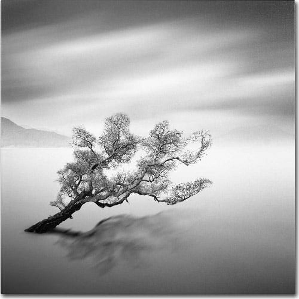 Trademark Fine Art "Water Tree VI" Canvas Art by Moises Levy