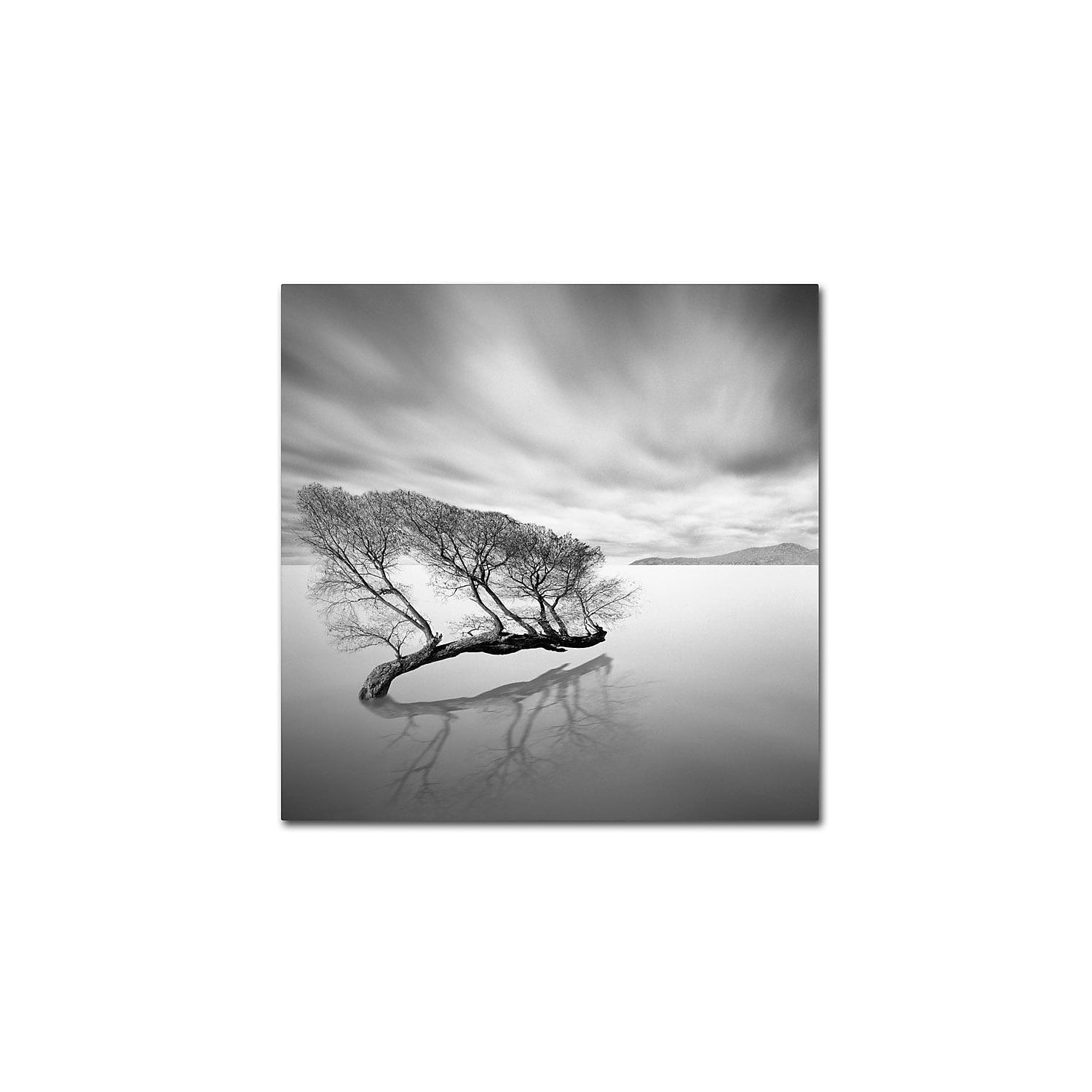 Trademark Fine Art "Water Tree VII" Canvas Art by Moises Levy