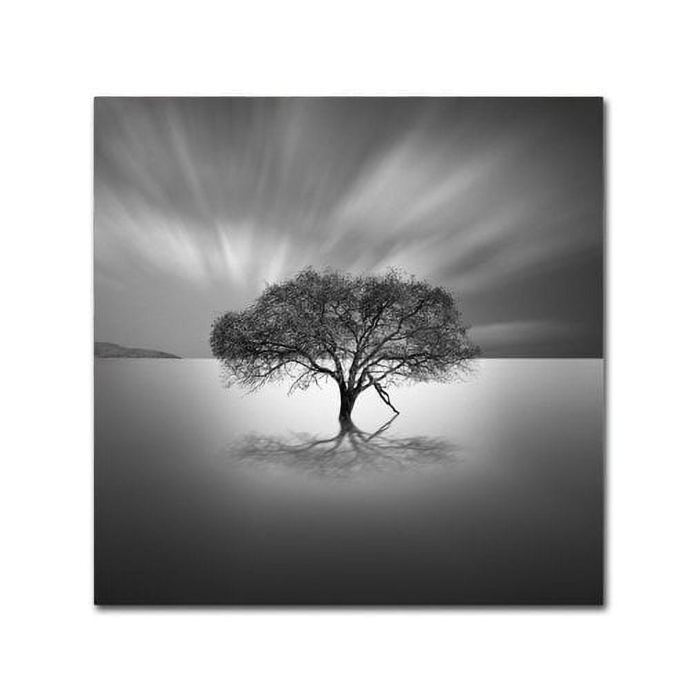 Moises Levy Black and White Landscape Canvas Print, 20" x 15"