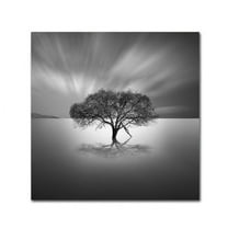 Trademark Fine Art "Water Tree VIII" Canvas Art by Moises Levy