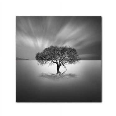 Trademark Fine Art "Water Tree VIII" Canvas Art by Moises Levy