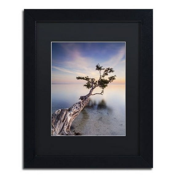Trademark Fine Art "Water Tree X" Canvas Art by Moises Levy Black Matte, Black Frame