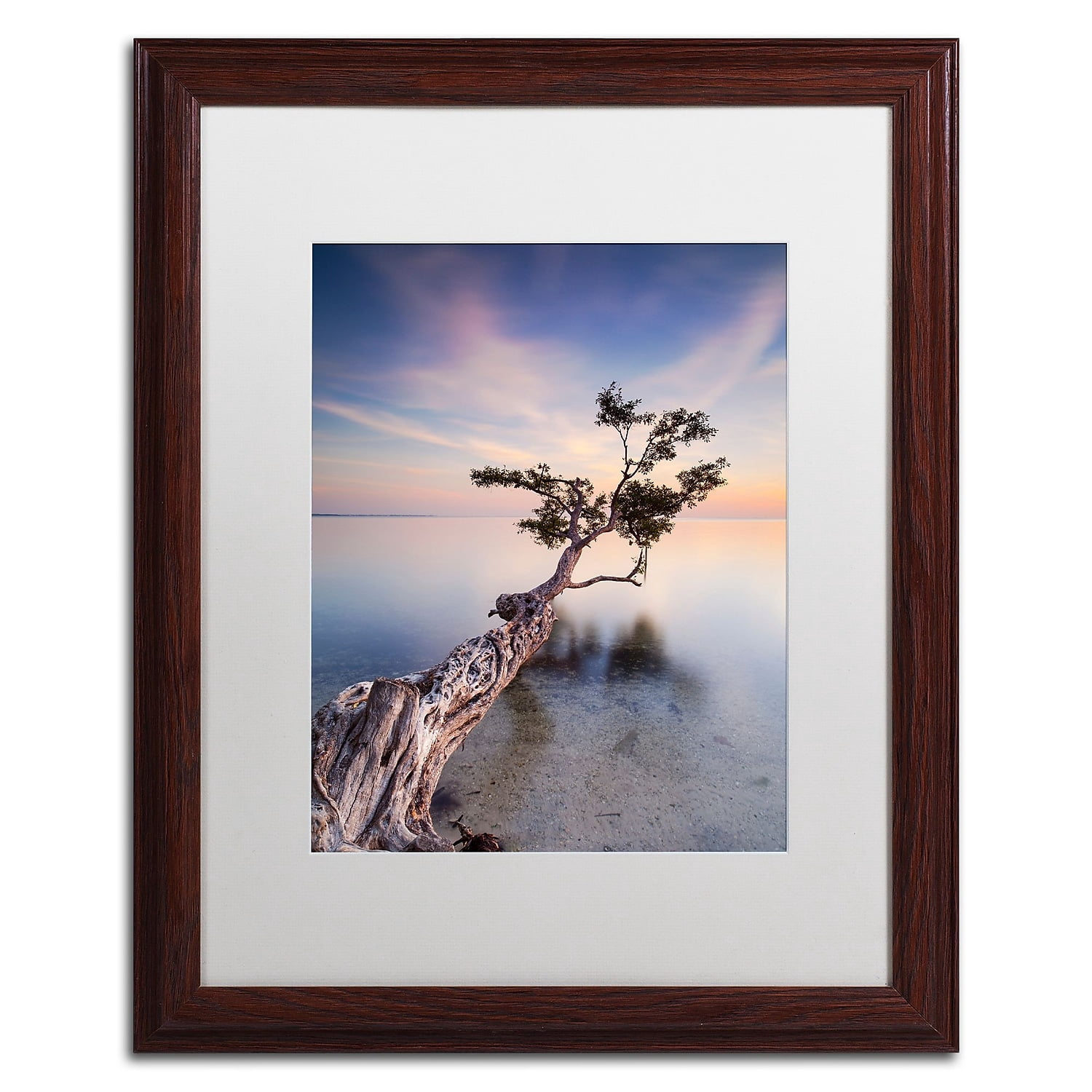 Trademark Fine Art "Water Tree X" Canvas Art by Moises Levy White Matte, Wood Frame