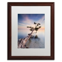 Trademark Fine Art "Water Tree X" Canvas Art by Moises Levy White Matte, Wood Frame