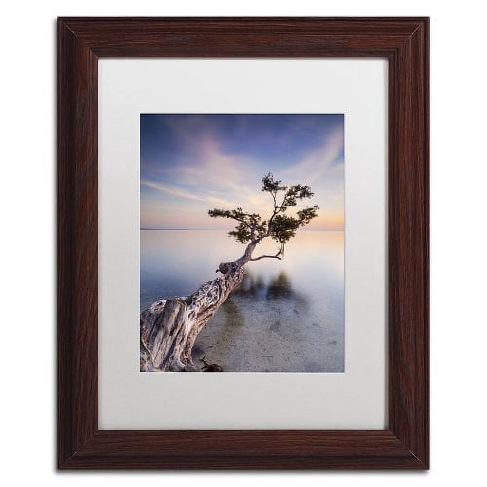 Trademark Fine Art "Water Tree X" Canvas Art by Moises Levy White Matte, Wood Frame