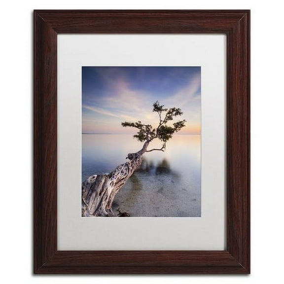 Trademark Fine Art "Water Tree X" Canvas Art by Moises Levy White Matte, Wood Frame