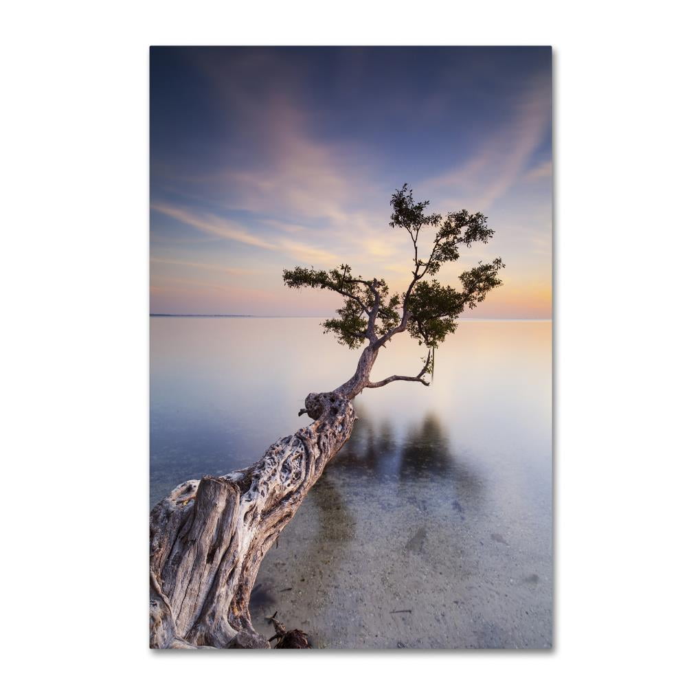 Trademark Fine Art "Water Tree X" Canvas Art by Moises Levy