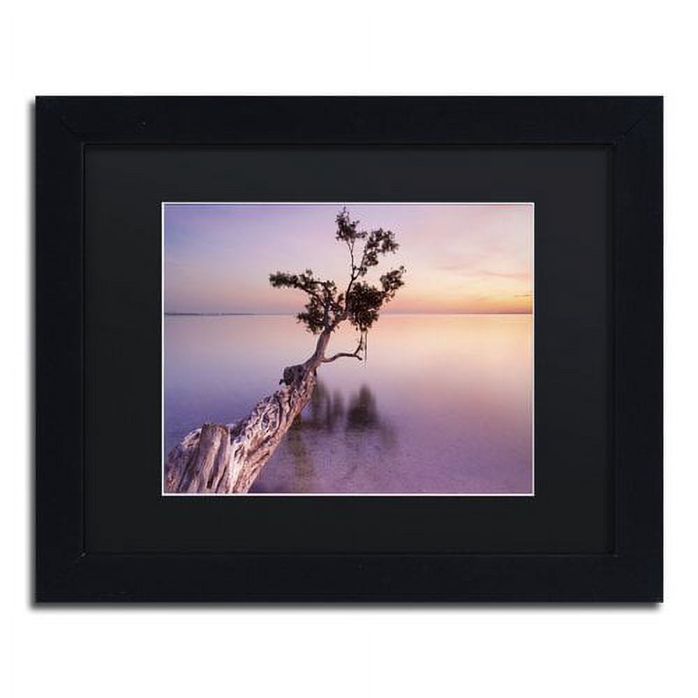 Trademark Fine Art "Water Tree XI" Canvas Art by Moises Levy Black Matte, Black Frame