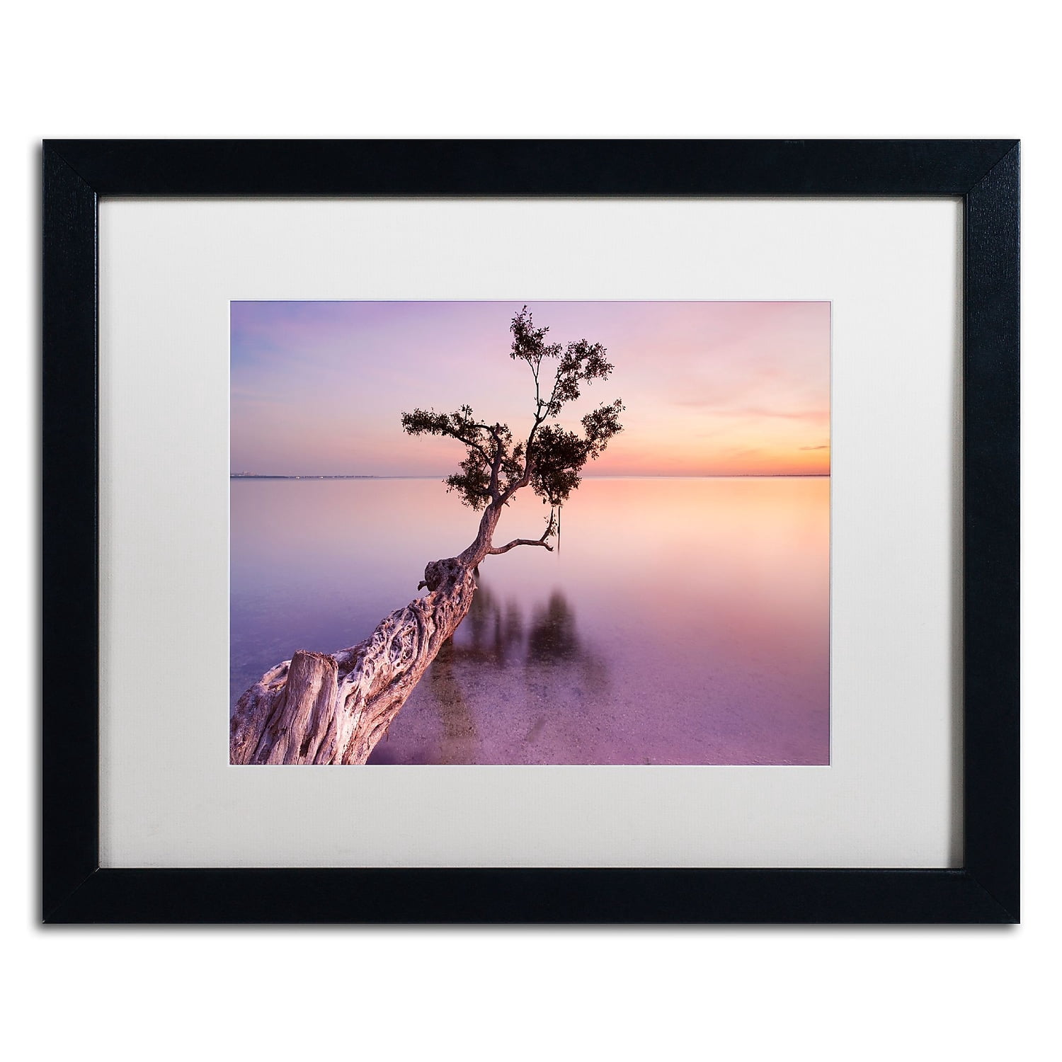 Trademark Fine Art "Water Tree XI" Canvas Art by Moises Levy White Matte, Black Frame
