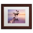 thumbnail image 1 of Trademark Fine Art "Water Tree XI" Canvas Art by Moises Levy White Matte, Wood Frame, 1 of 4