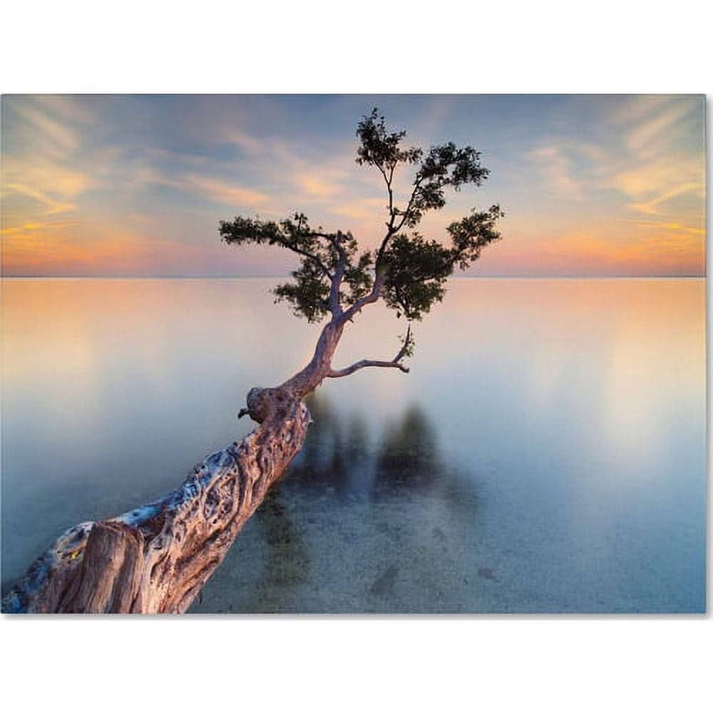 Trademark Fine Art "Water Tree XIV" Canvas Art by Moises Levy