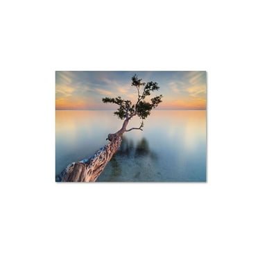 Trademark Fine Art "Water Tree XIV" Canvas Art by Moises Levy