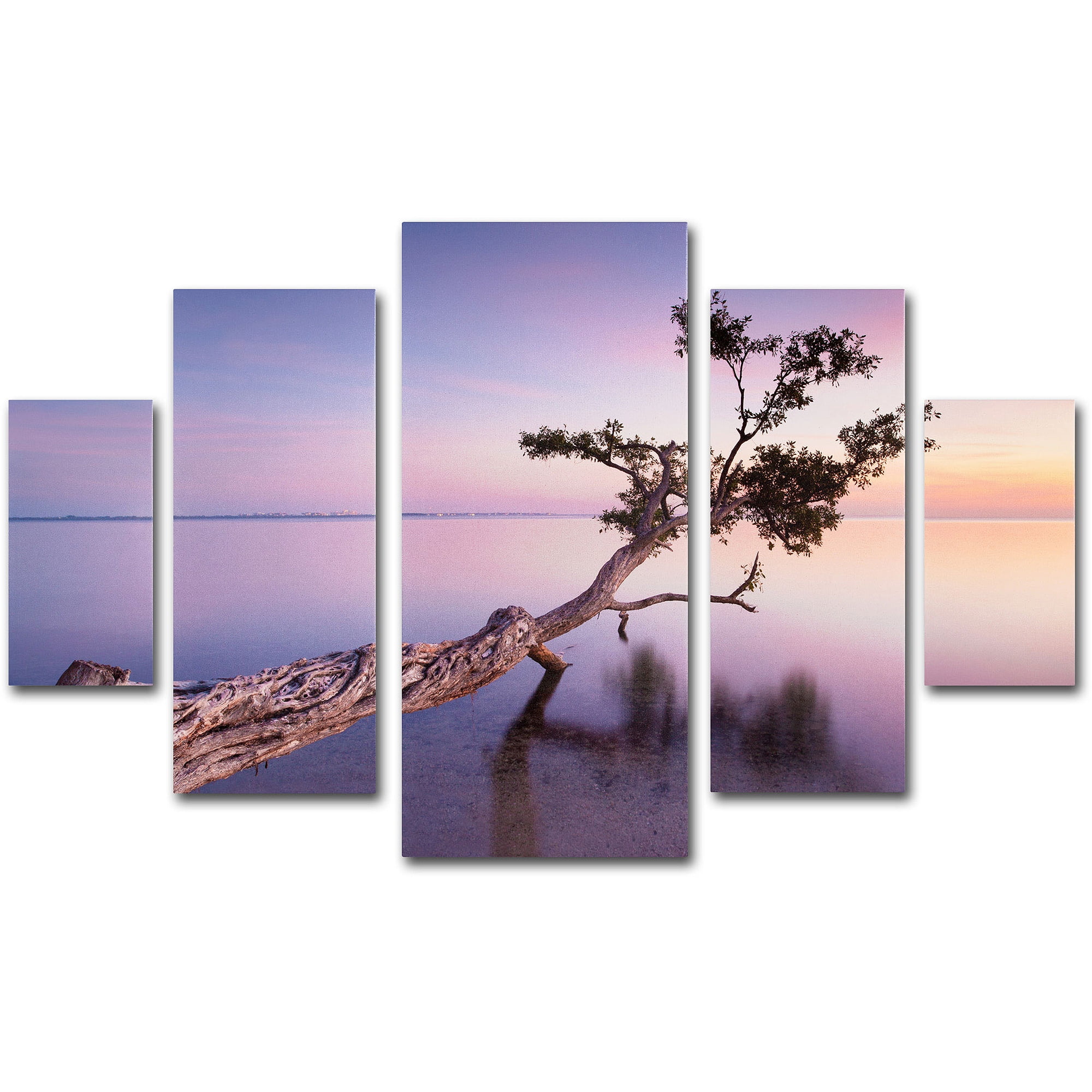 Trademark Fine Art "Water Tree XV" Canvas Art by Moises Levy 5-Panel Set